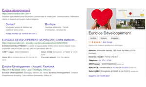 Screenshot encart web Google My Business