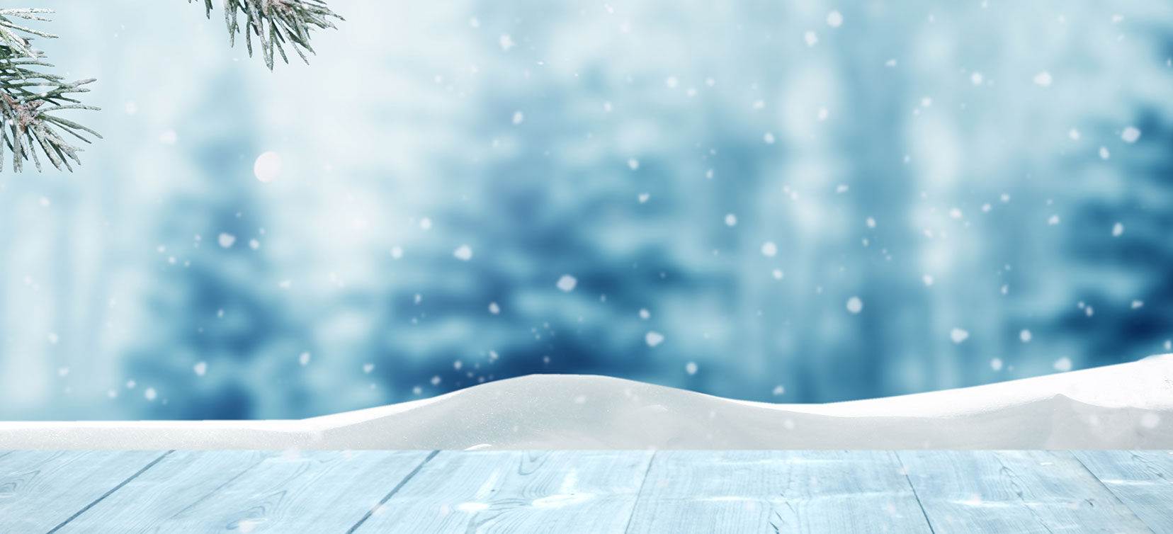 Ventes de chèques cadeaux et cartes cadeaux